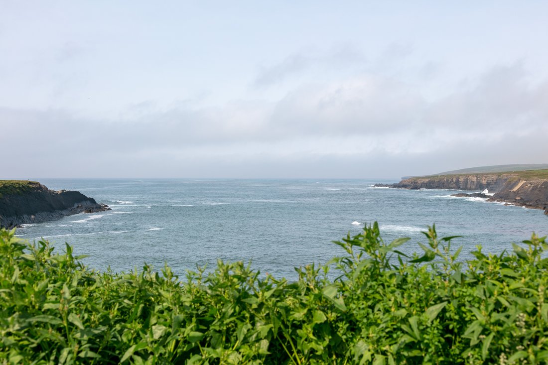 Dunmore Bay And Horse Island In Killarainy, County Clare, Ireland For