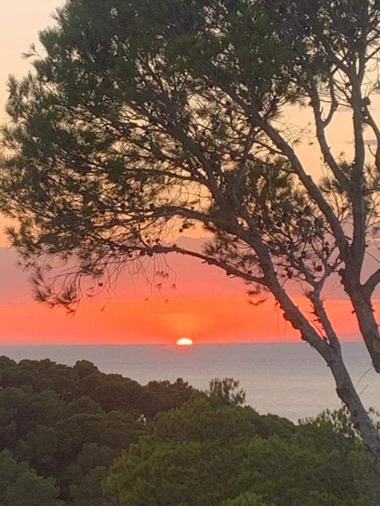 Villa in Sant Antoni de Portmany, Balearic Islands, Spain 5 - 11919384