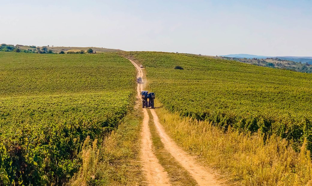 Pogany Dobra Wine Estate, Dobra, Satu In Satu Mare, Satu Mare County