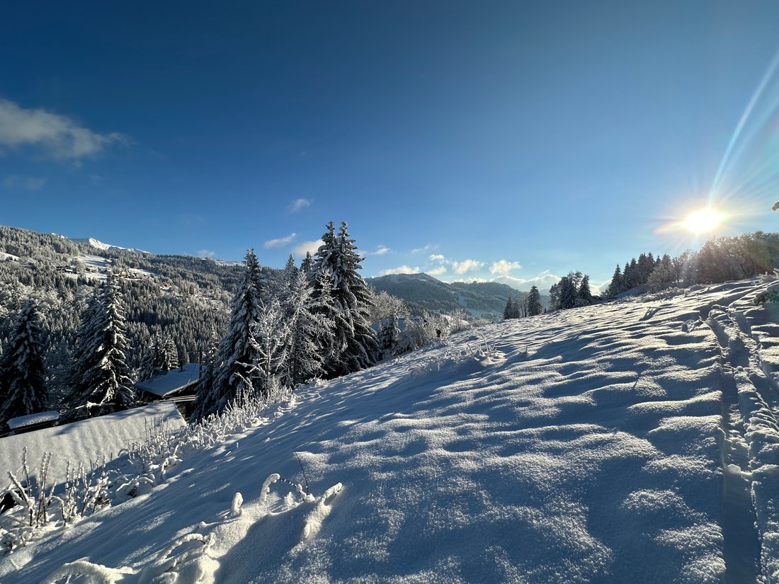 Chalet in Les Gets, Auvergne-Rhône-Alpes, France 3 - 12651104