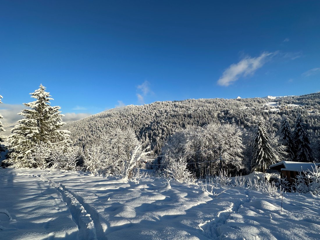 Chalet in Les Gets, Auvergne-Rhône-Alpes, France 4 - 12651104