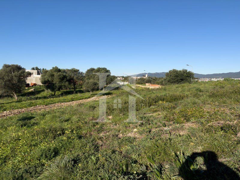 Building Land In Bicesse In Alcabideche, Lisbon, Portugal For Sale 