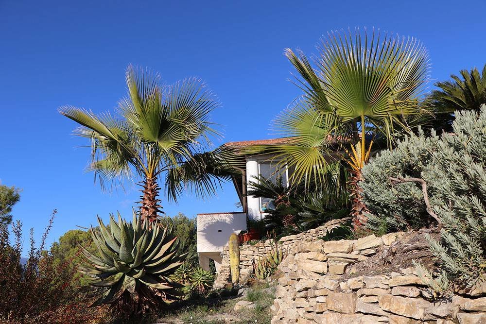 Villa in Vallebona, Liguria, Italy 2 - 12651317