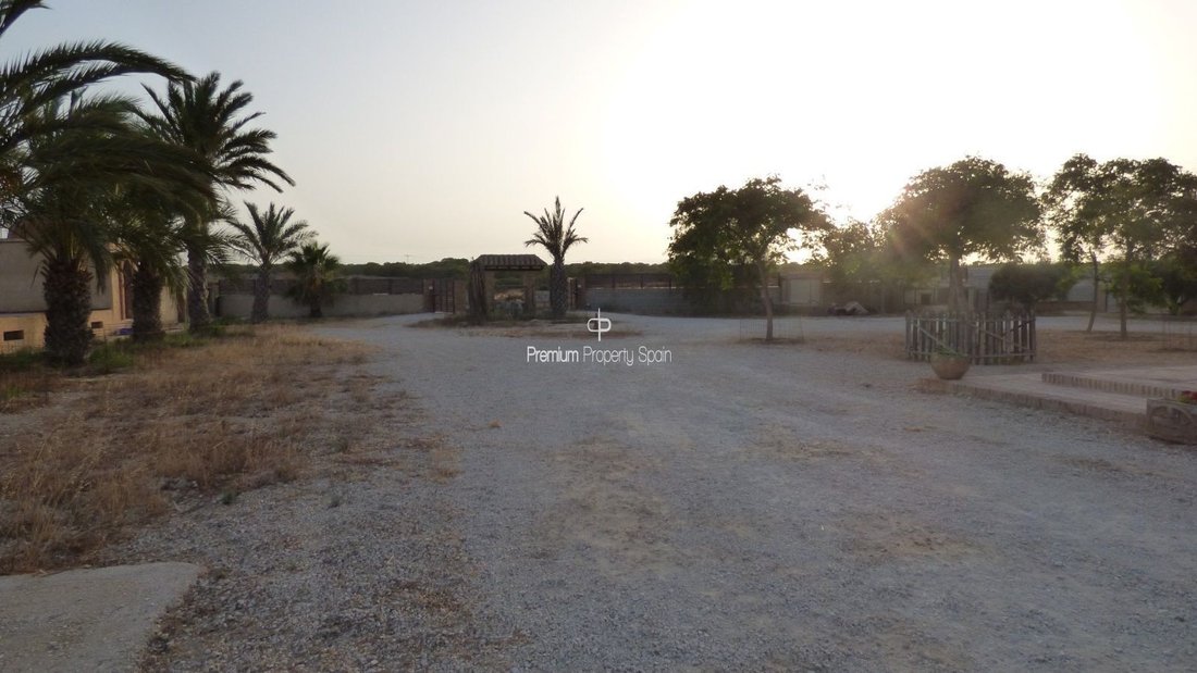 Finca in Elx / Elche, Valencian Community, Spain 2 - 12652260