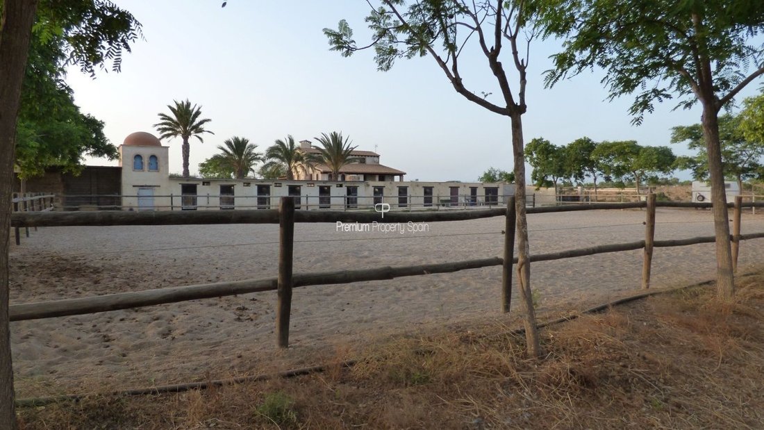 Finca in Elx / Elche, Valencian Community, Spain 1 - 12652260