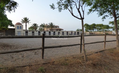 Finca a Elx, Comunità Valenzana, Spagna 1