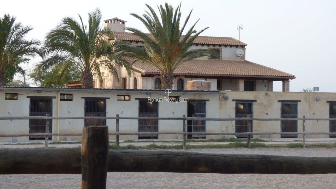 Villa in Elx / Elche, Valencian Community, Spain 1 - 12652224