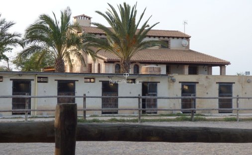 Villa in Elx / Elche, Valencian Community, Spain 1