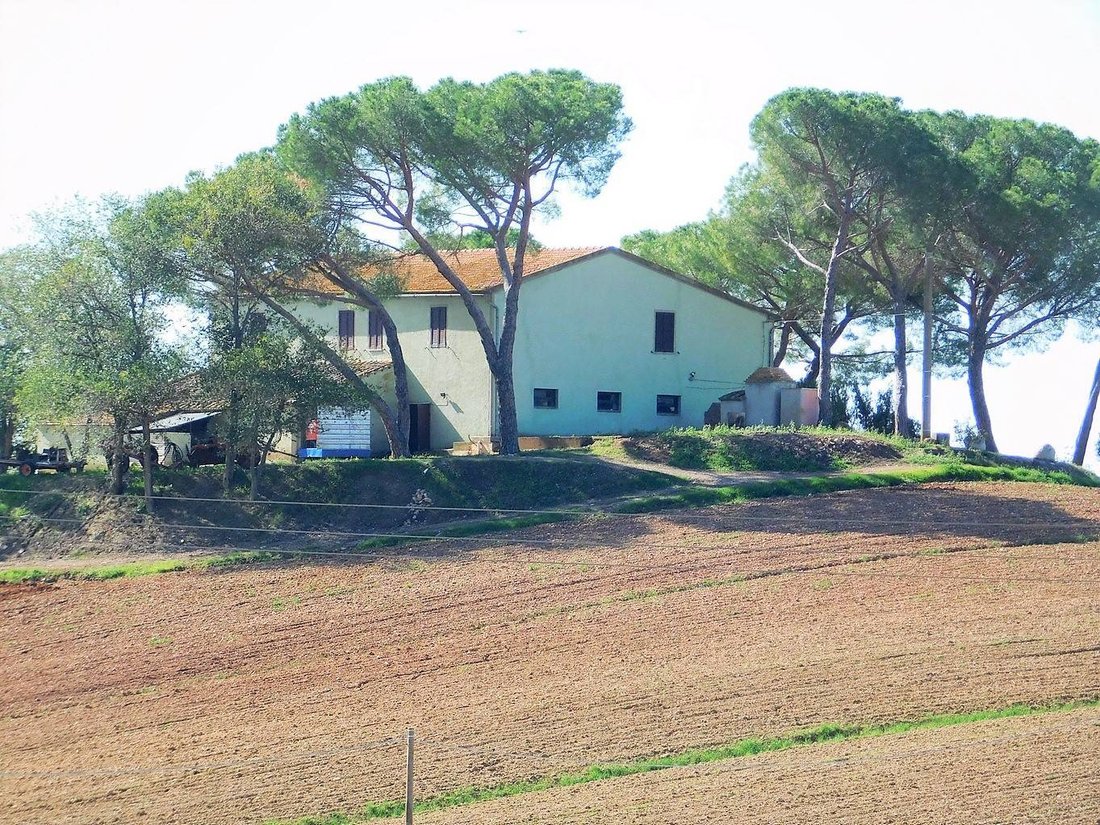 Farm Ranch in Roccastrada, Tuscany, Italy 1 - 12653929