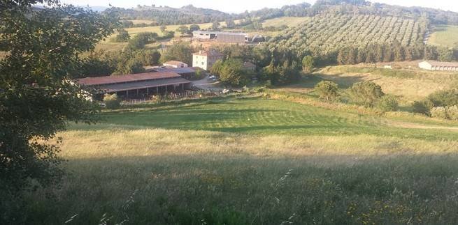 Farm Ranch in Campagnatico, Tuscany, Italy 2 - 12653691