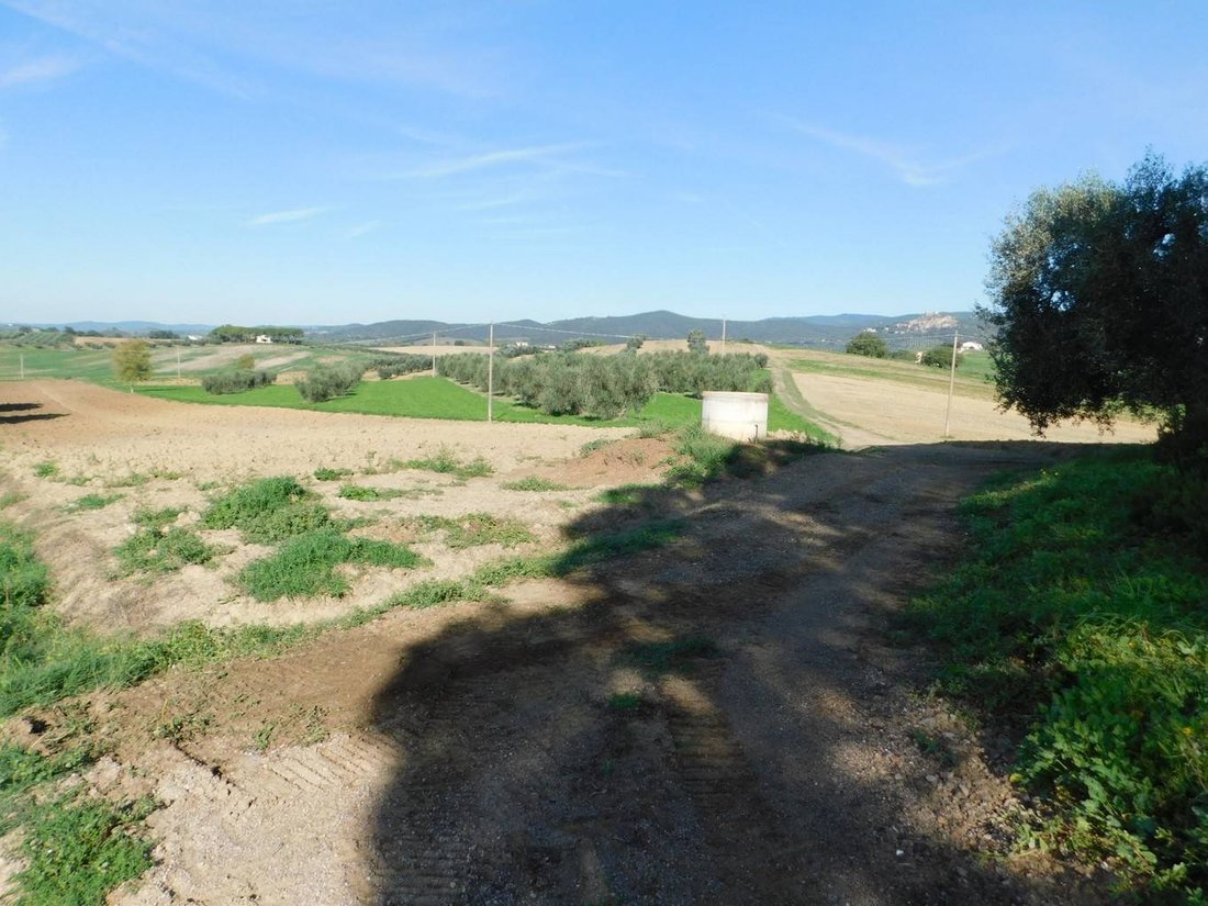 Farm Ranch in Roccastrada, Tuscany, Italy 2 - 12653929