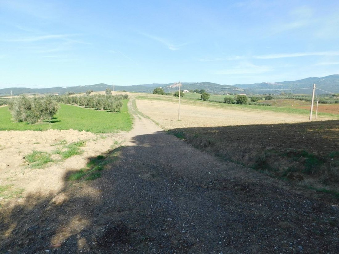 Farm Ranch in Roccastrada, Tuscany, Italy 4 - 12653929