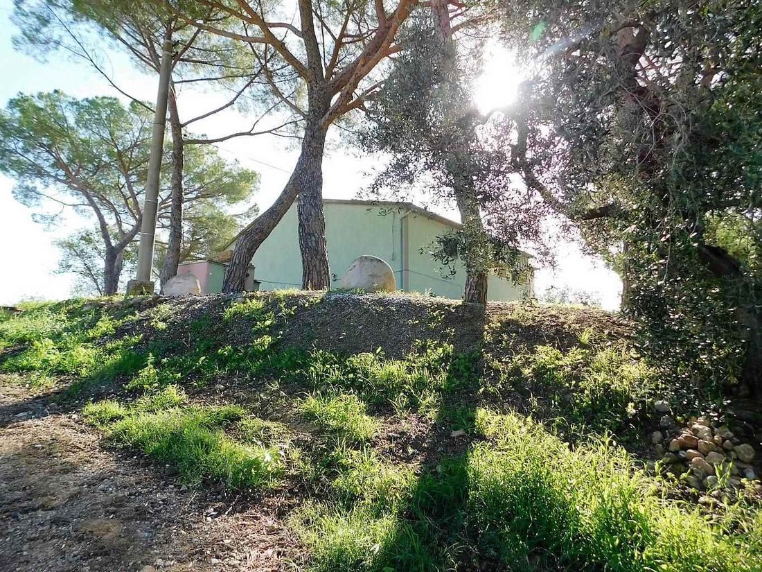 Farm Ranch in Roccastrada, Tuscany, Italy 5 - 12653929
