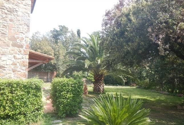 Farm Ranch in Campagnatico, Tuscany, Italy 3 - 12653691