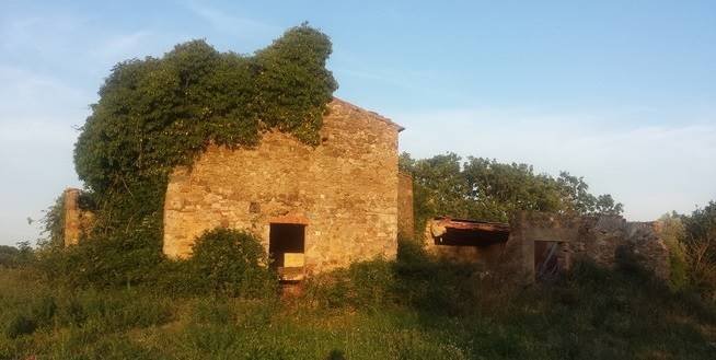 Farm Ranch in Campagnatico, Tuscany, Italy 5 - 12653691