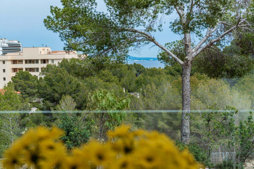 House in Calvia, Balearic Islands, Spain 4 - 12654796