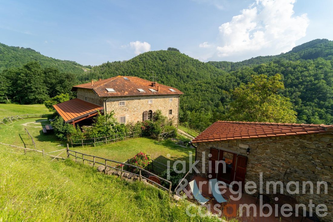Farm Ranch in Stia, Tuscany, Italy 1 - 11513199