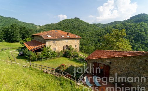 Azienda agricola a Stia, Toscana, Italia 1