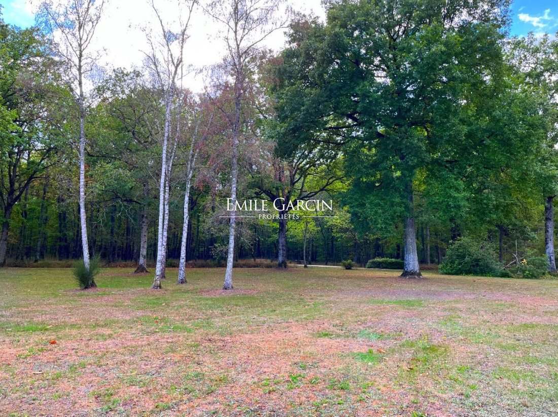 For Sale Magnificent Property On 20 In Blois, Centre Val De Loire, France For Sale (12656757)