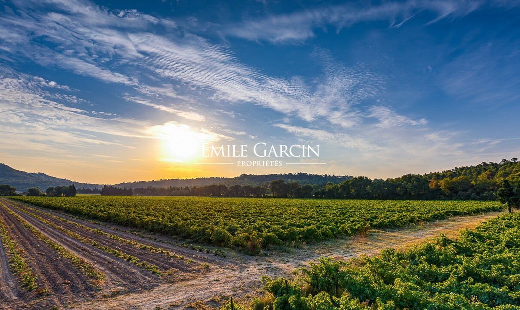 Wine Estate For Sale Between In Lambesc, Provence Alpes Côte D'azur