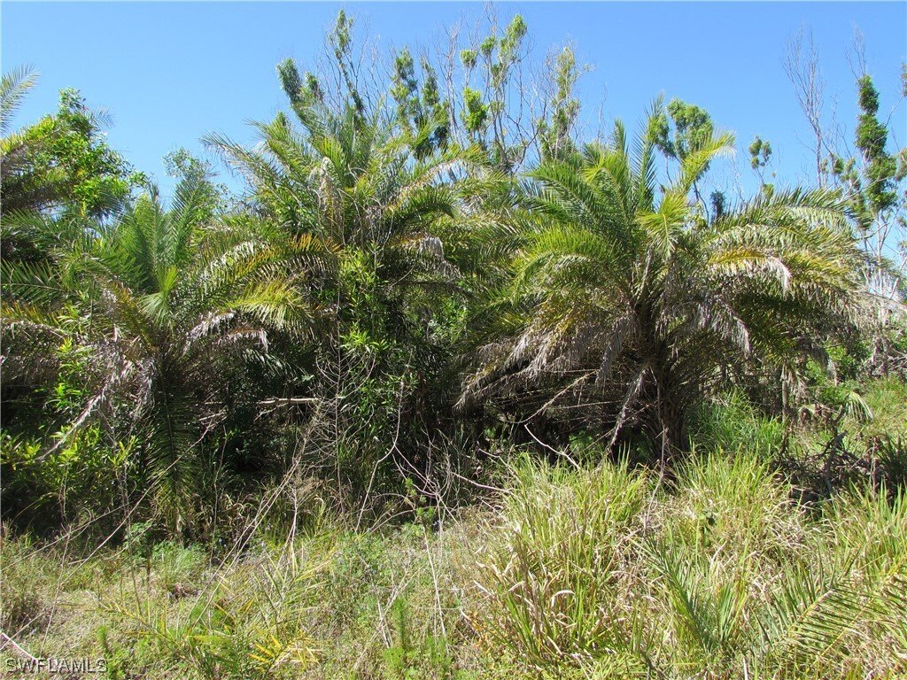 Land in Bokeelia, Florida, United States 4 - 12660016