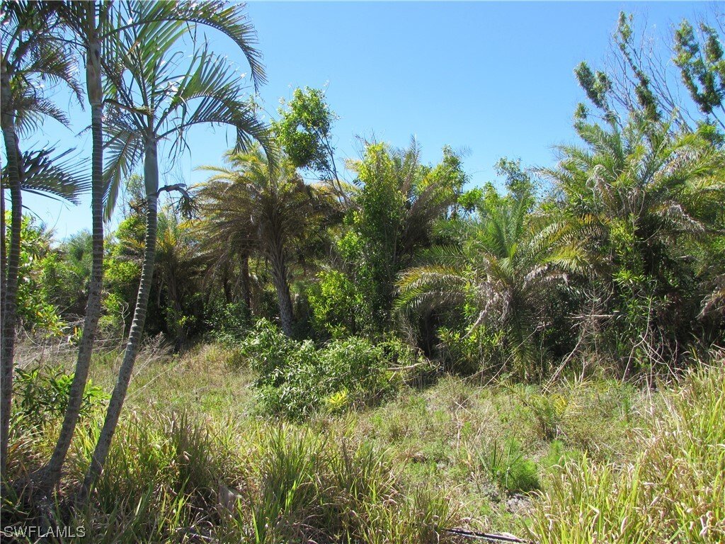 Land in Bokeelia, Florida, United States 3 - 12660016