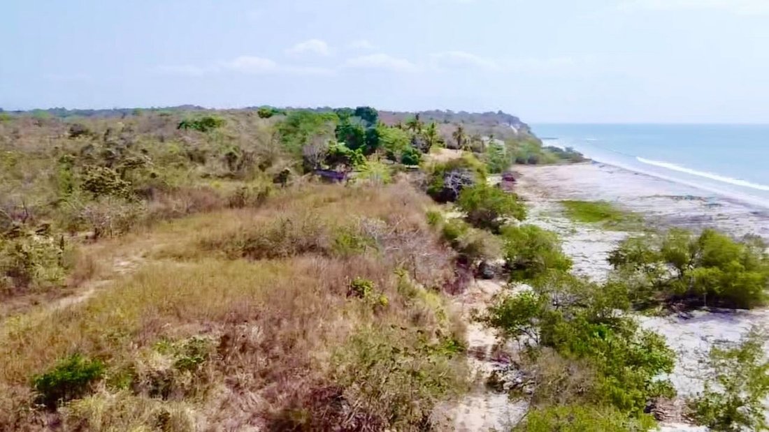 Land in El Higo, Provincia de Panamá Oeste, Panama 2 - 12660214