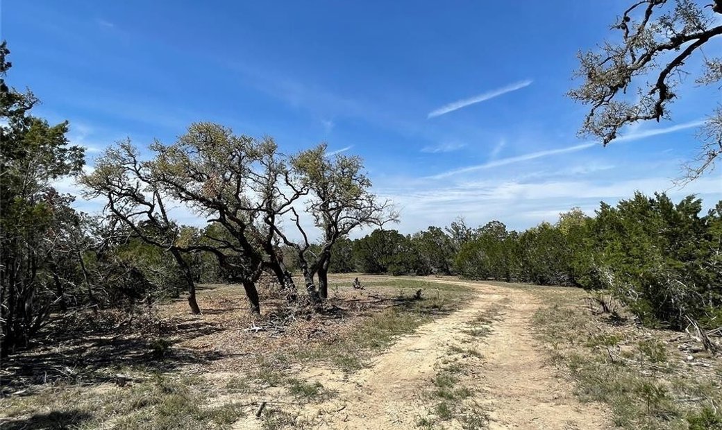 Lots And Land Dripping Springs In Dripping Springs, Texas, United States For Sale (12661829)
