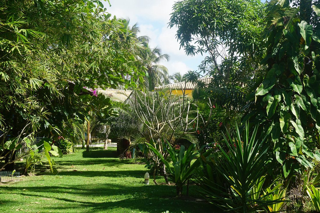 Estate in Santo André, State of Bahia, Brazil 5 - 12671479