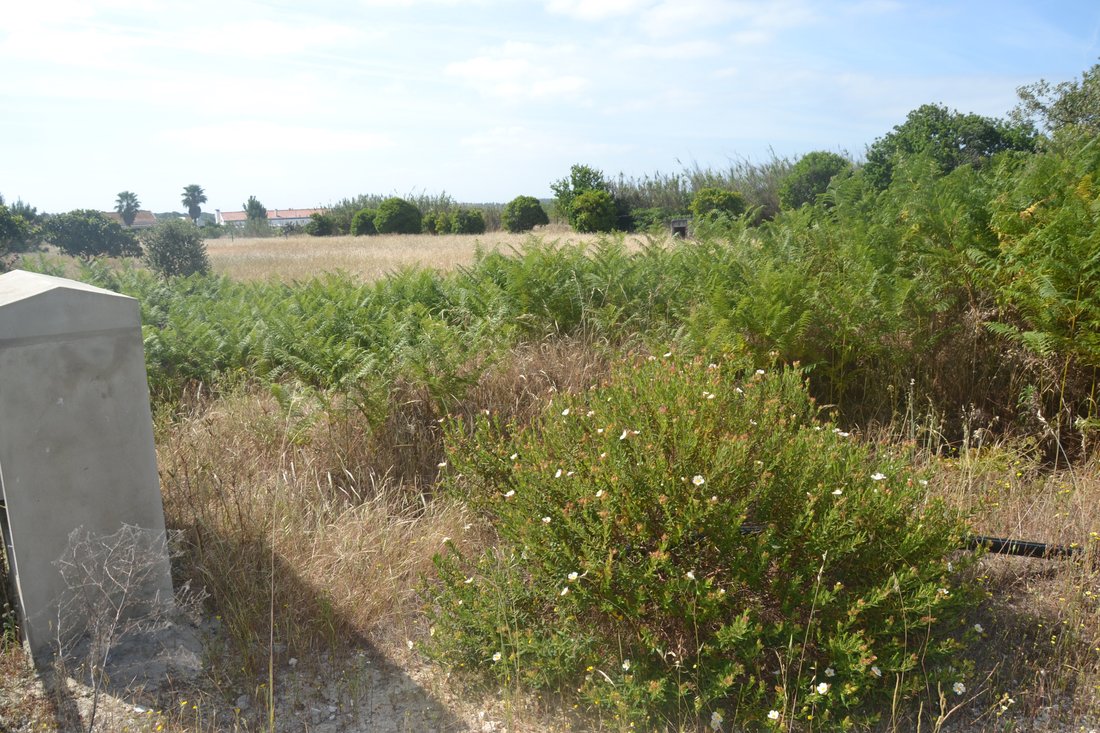 Land in Portugal 5 - 12672060