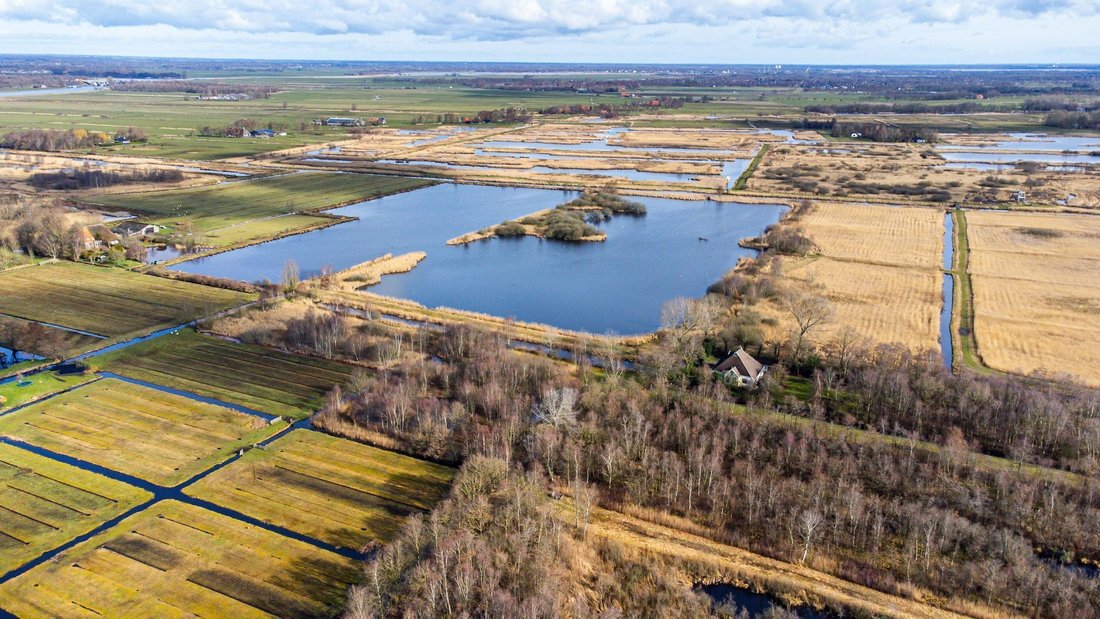 Beautiful Farmhouse Located On 1.7 Ha Of In Earnewâld, Friesland