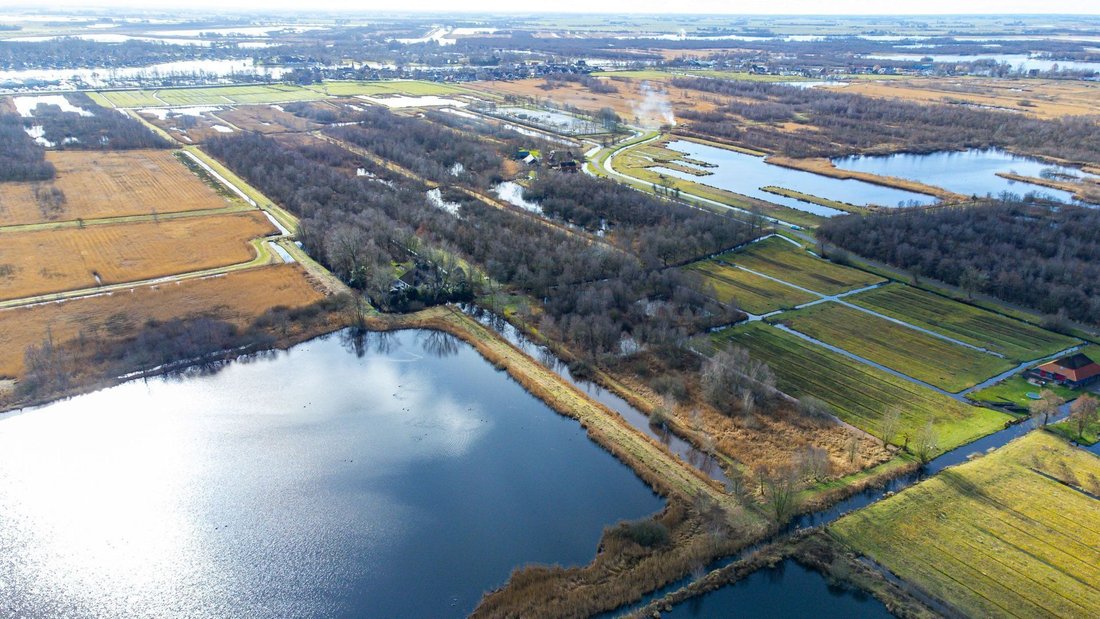 Beautiful Farmhouse Located On 1.7 Ha Of In Earnewâld, Friesland