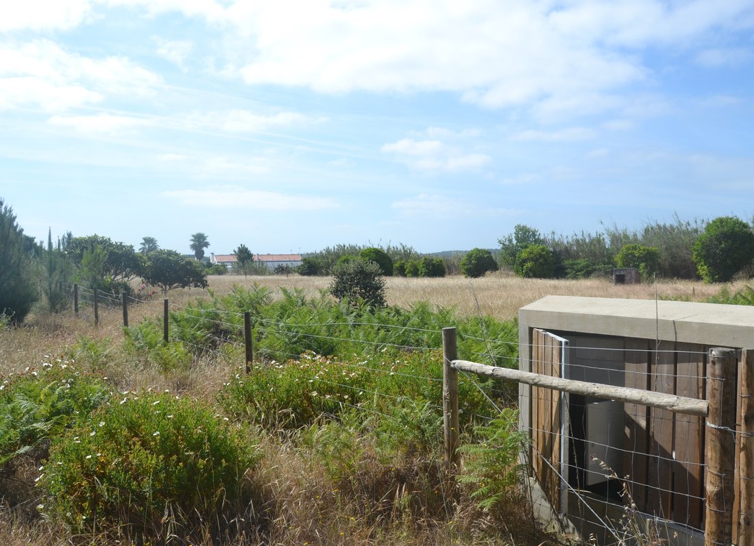 Land in Portugal 4 - 12672060