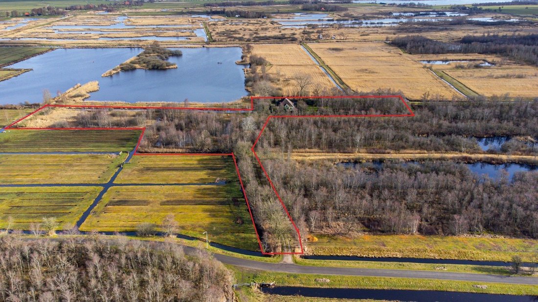 Beautiful Farmhouse Located On 1.7 Ha Of In Earnewâld, Friesland