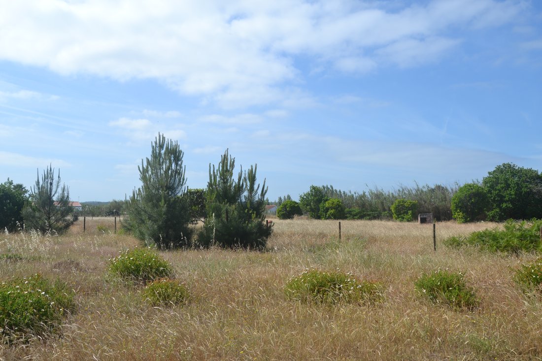 Land in Portugal 3 - 12672060