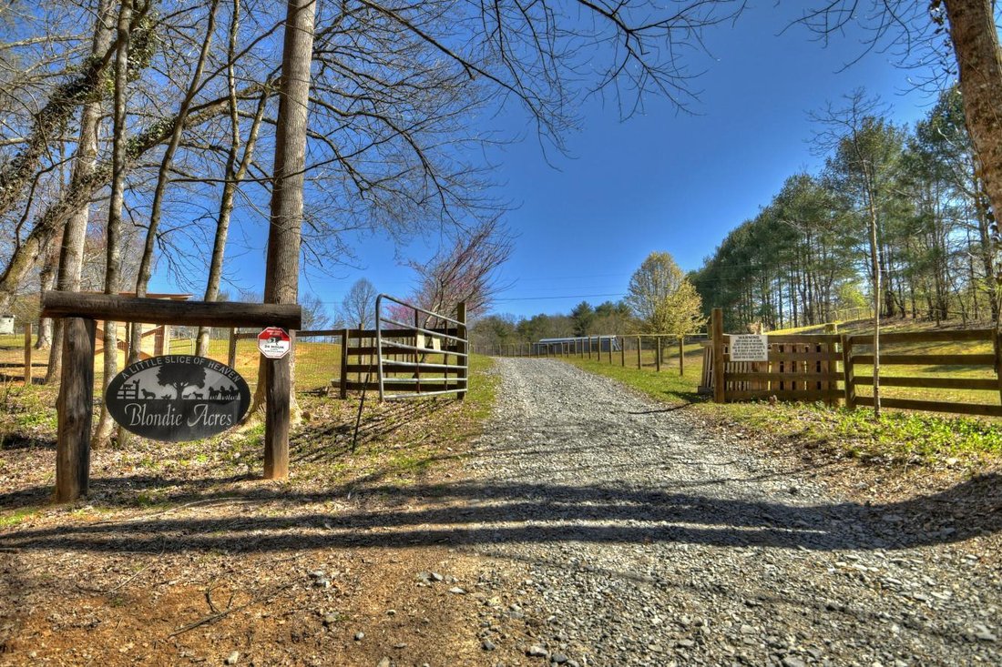 House in Cherry Log, Georgia, United States 1 - 12672876