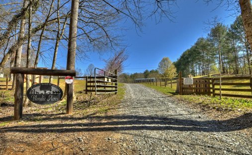 Casa a Cherry Log, Georgia, Stati Uniti 1