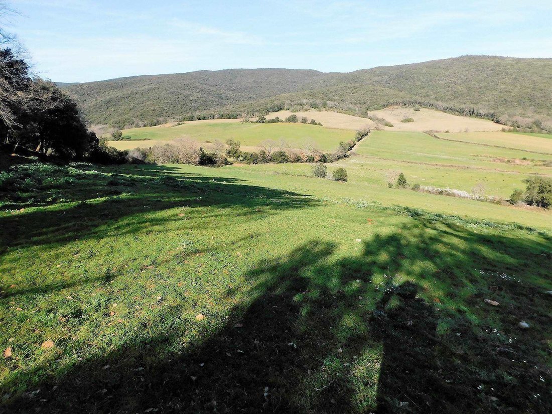 Farm Ranch in Center, Follonica, Tuscany 4 - 12673128
