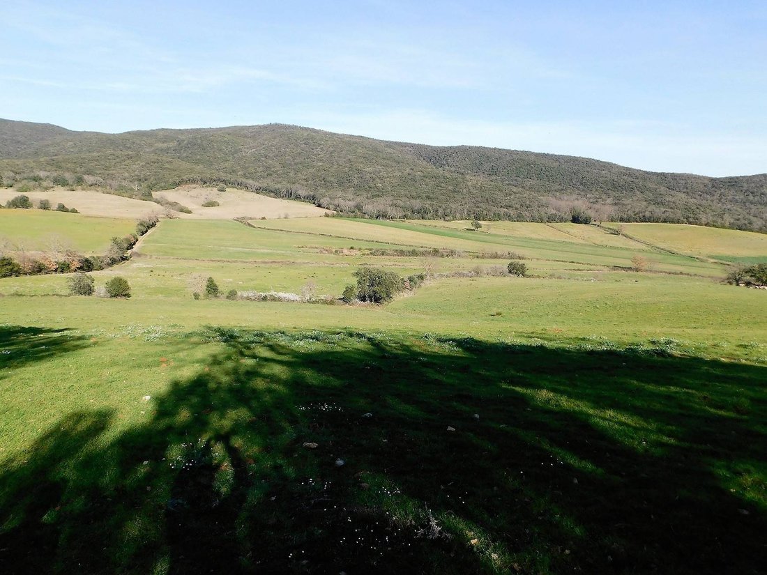 Farm Ranch in Center, Follonica, Tuscany 5 - 12673128