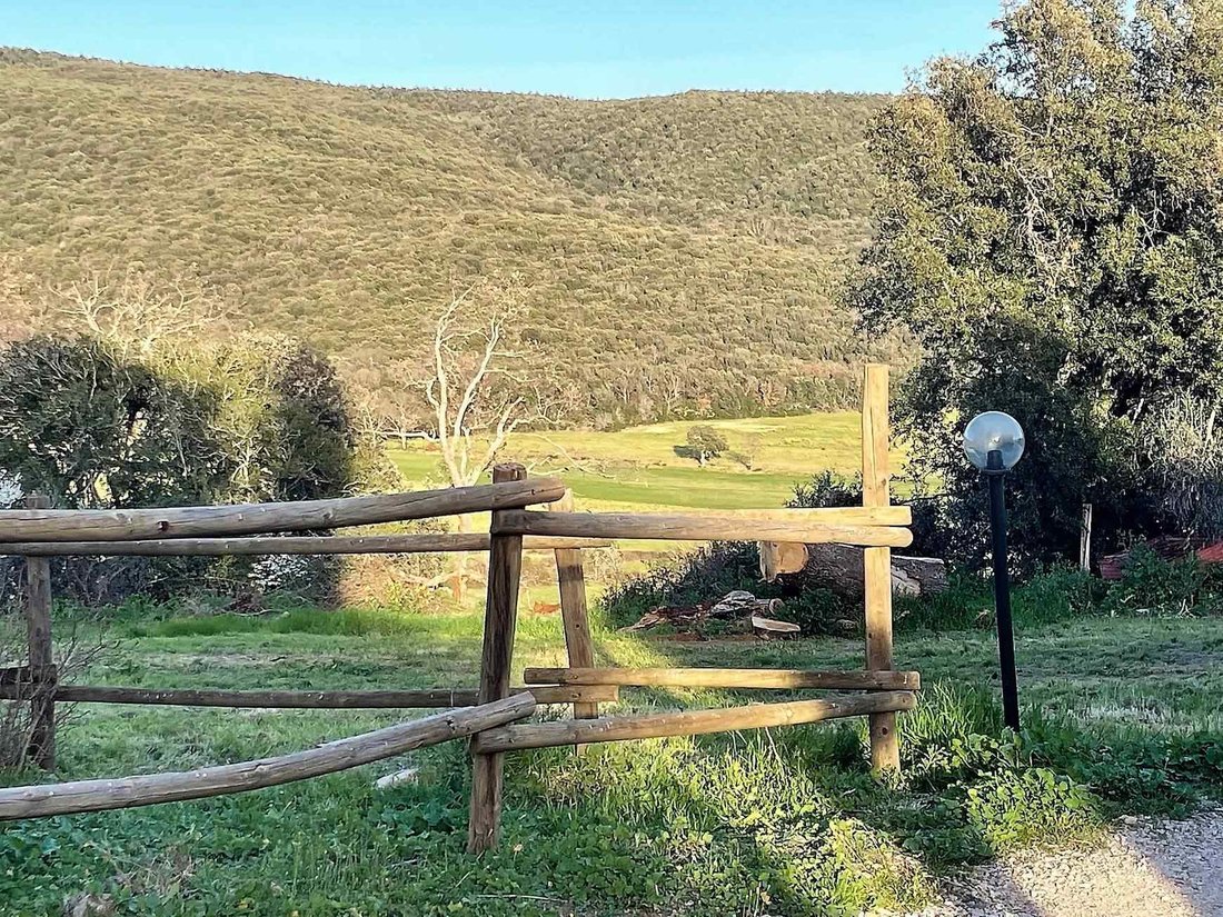 Farm Ranch in Center, Follonica, Tuscany 3 - 12673128