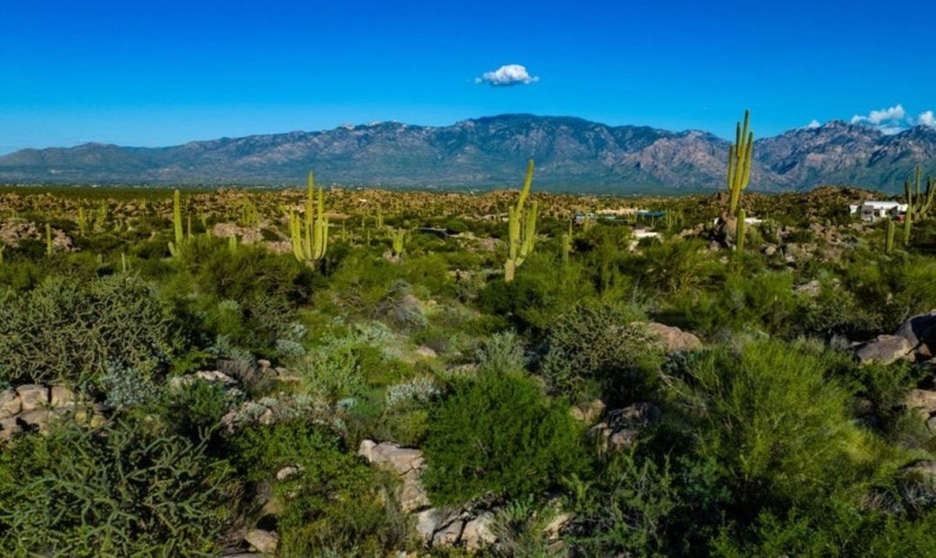15009 N Slippery Ridge Loop, Oro Valley, In Oro Valley, Arizona, United