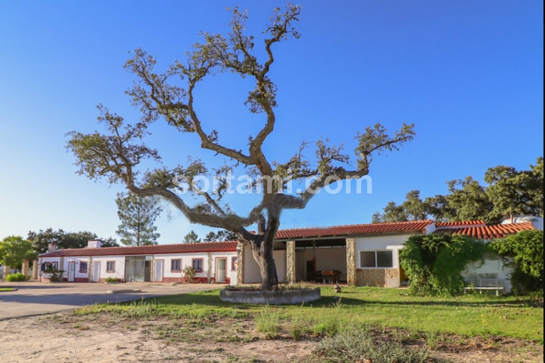 Farm Ranch in Montargil, Portalegre District, Portugal 3 - 12681869