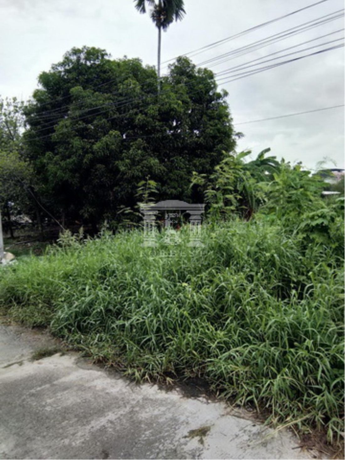39942 Sukhumvit 107, Land For Sale, Plot Size 3.3 Acres In Thailand For Sale (12678511)