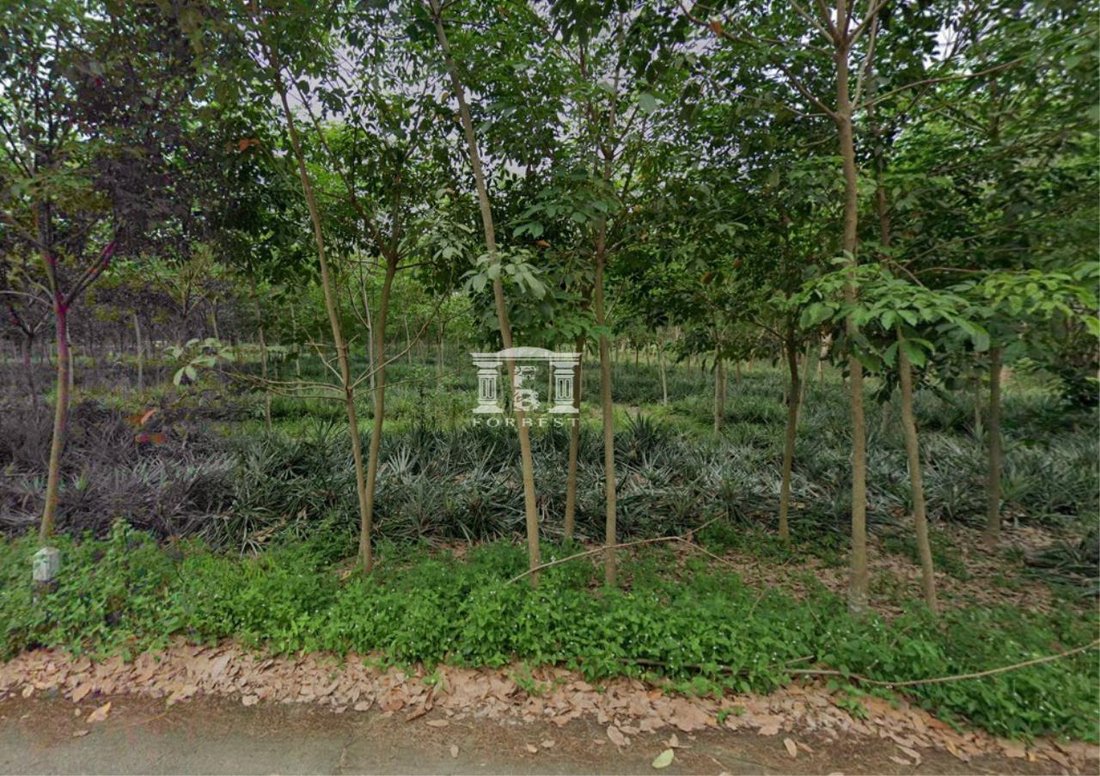 42451 Rayong Land For Sale, Area 22 0 34 Rai, In Rayong, Rayong