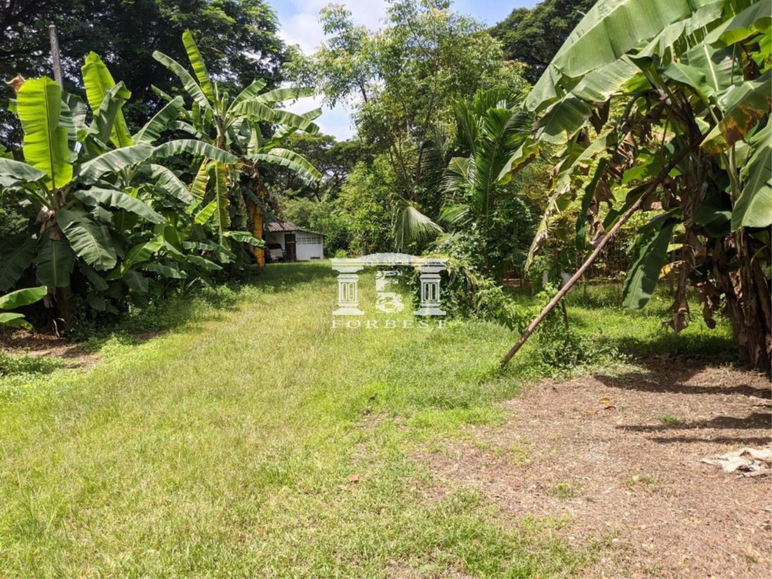 90608 Chiang Mai Land For Sale, Area 9 3 37 Rai. In Chiang Mai, Thailand For Sale (12679105)