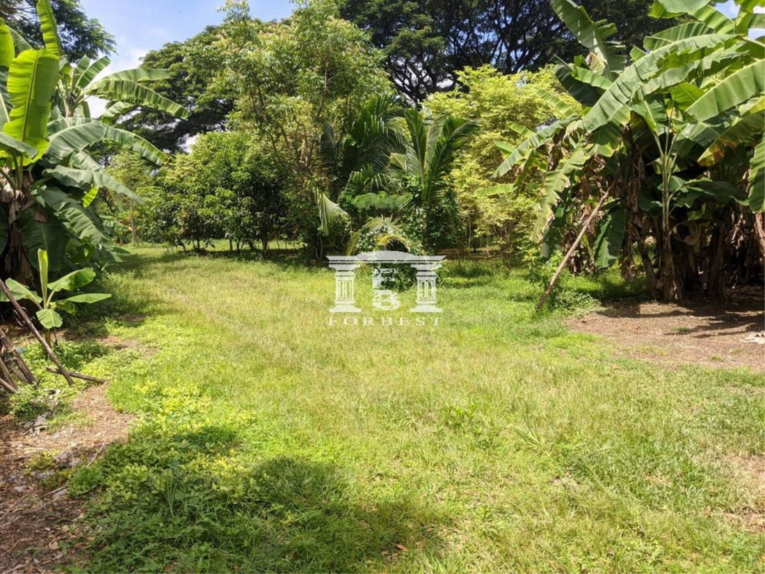 90608 Chiang Mai Land For Sale, Area 9 3 37 Rai. In Chiang Mai, Thailand For Sale (12679105)