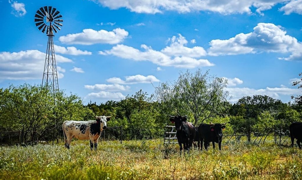 Lots And Land Buda In Buda, Texas, United States For Sale (12681576)