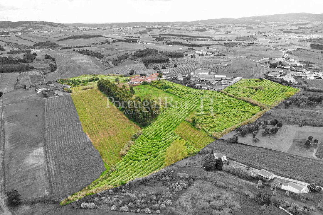 Farm Ranch in Bombarral e Vale Covo, Leiria District, Portugal 3 - 12029253