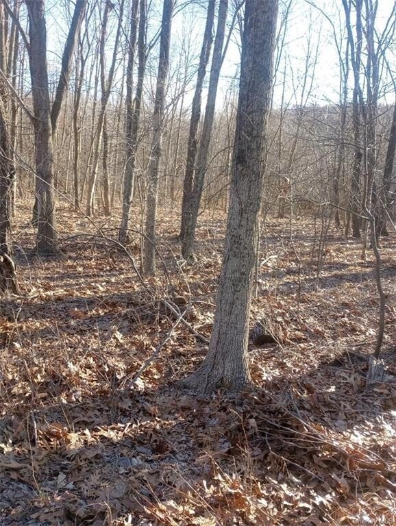Lots And Land Minisink Dans Westtown, état De New York, états Unis à