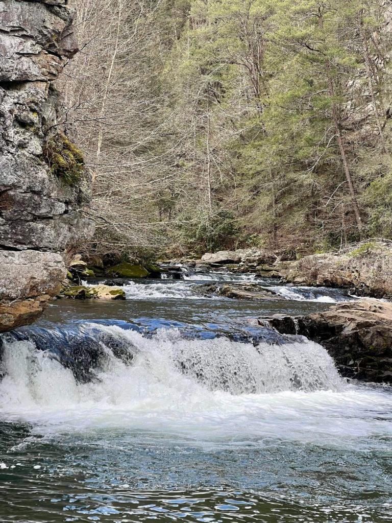 Lots And Land Altamont In Altamont, Tennessee, United States For Sale